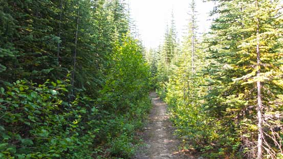 And then the trail...