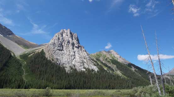 A view of Commonwealth Peak from the trail
