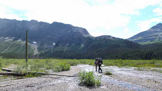 Ahead would be that swamp section