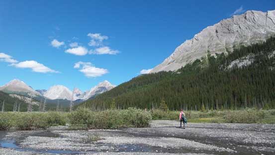 Looking back from the rear end of this swampy section
