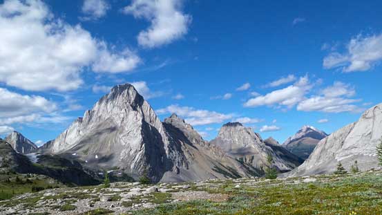 Looking back towards Mt. Birdwood