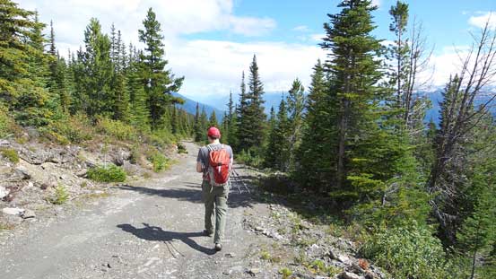 And then, the forestry service road...