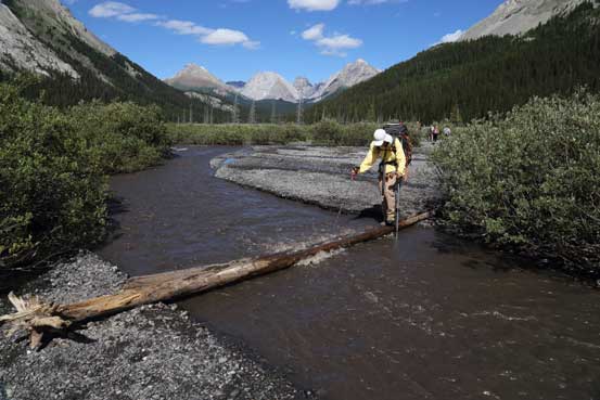 Me crossing one of the log bridges. Photo by Ben