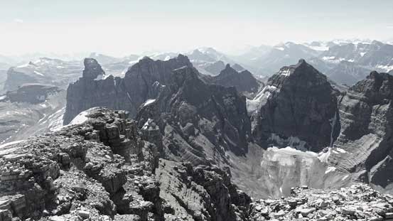 The Murchison Towers