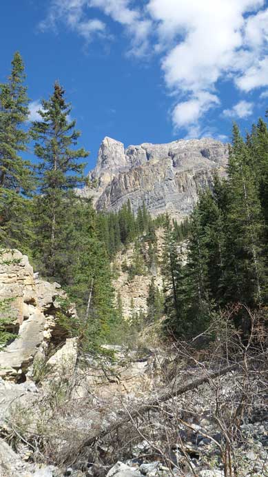 Almost back to the parking lot, looking back...