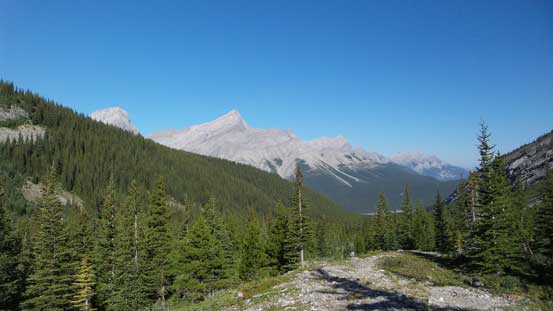 Soon enough the views started to open up