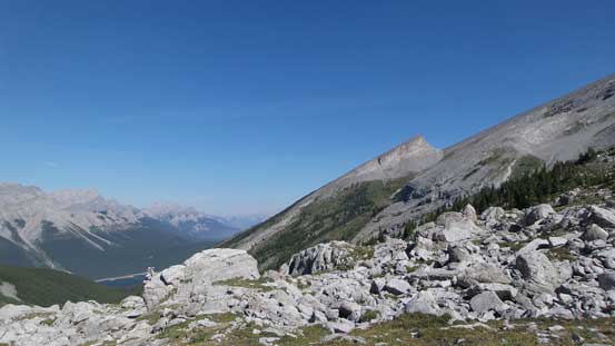 This interesting ramp with an abrupt drop-off is Read's Tower