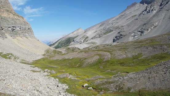 Looking back at this alpine meadow