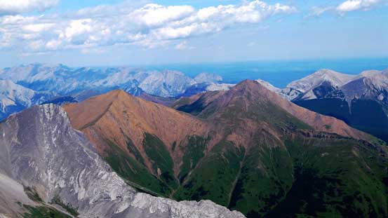 I like the colours on Mt. Allan and Mt. Collembola