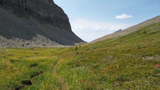 Hiking through the meadow