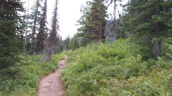 The typical scenery on the initial 4 km trudge