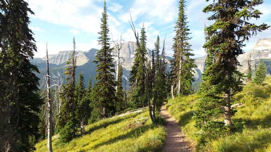 The scenery started to open up as the forest thinning 