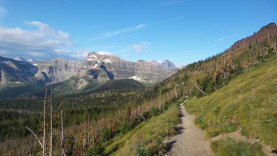 Hiking out of the woods, looking back