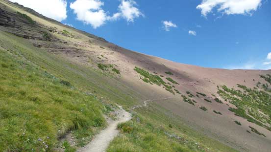 Back to the Carthew-Alderson Trail