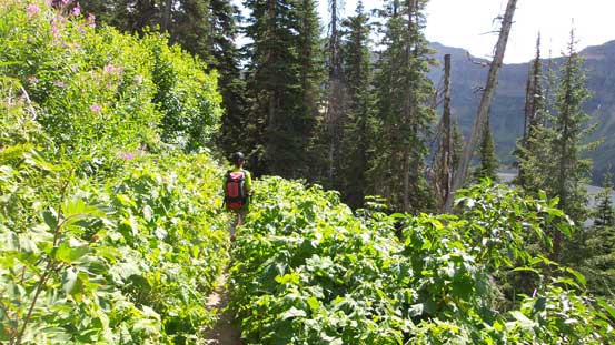 More of the hike out...