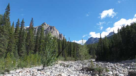 At the start of Totem Creek, looking upwards