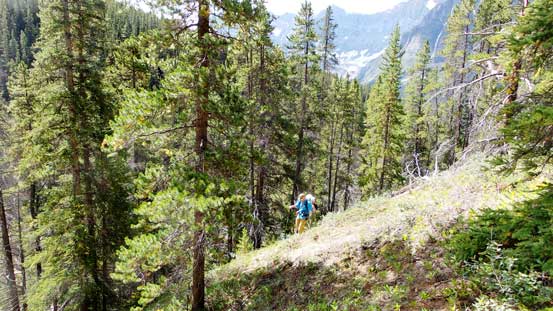 The initial ascent through the forest