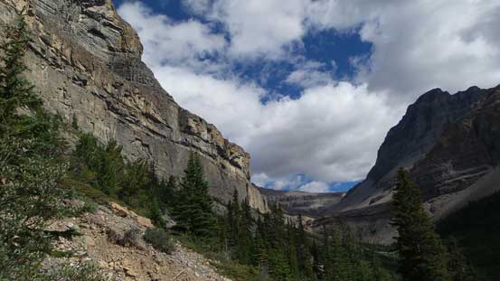 Eventually we ascended out of the trees, way up high on climber's left