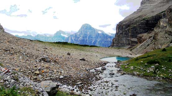 Looking back at that small tarn, with Mt. Chephren behind
