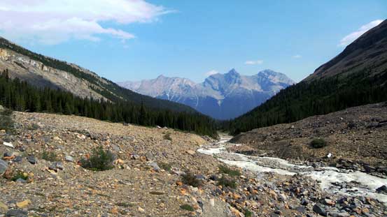 Almost into the trees