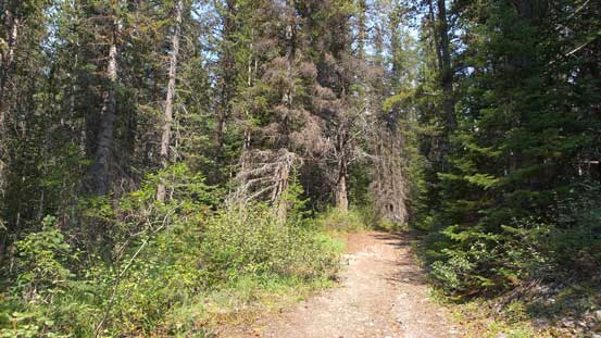 Down to the old road now