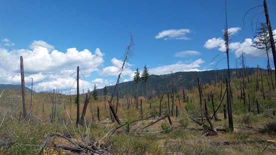 Cresting the broad N. Ridge