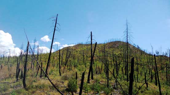 Looking upwards. Despite the appearance I still had a long ways to go