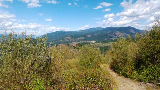 Thankfully I managed to find this ATV road, otherwise the bush could be really bad