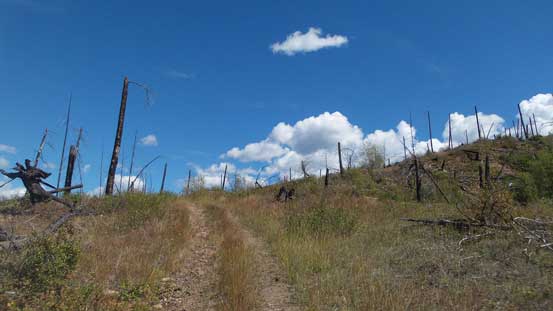 Upwards and onwards following the tracks