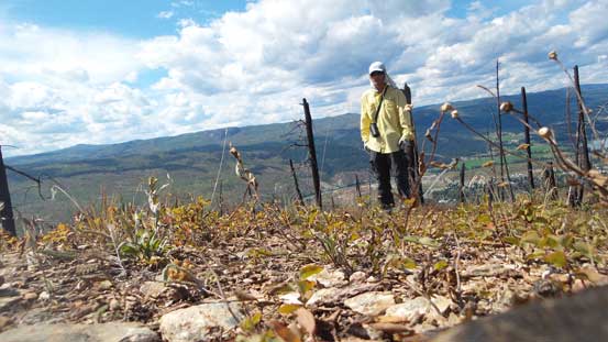 Me on the summit of Mt. Armour