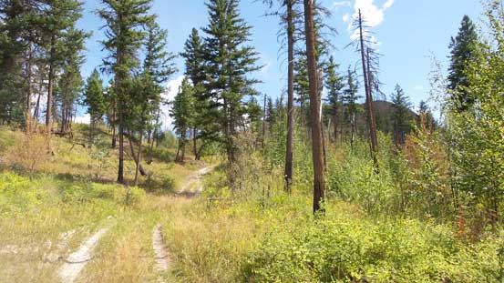 The ATV Road on the descent