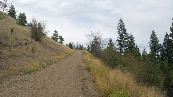 More about this road