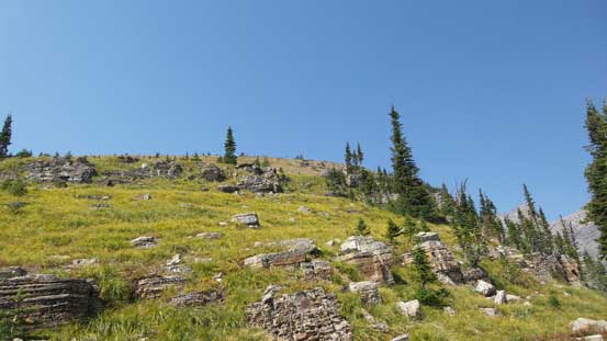 Typical grassy hike leading to the summit