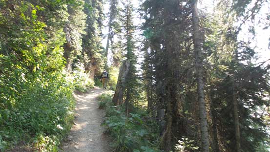 Sections of this trail goes into the forest
