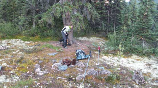 Maury taking a short break