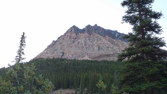 A glimpse of part of Mt. Fitzwilliam from Rockingham Creek