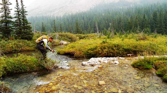 Maury ready to jump across the stream