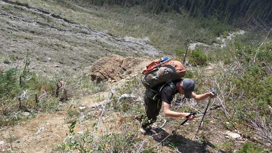 Starting to gain height