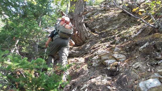 Entering a bushy section. It's bushwhacking on a trail. Fun time...