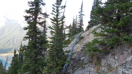 Ascending a rough trail through the forest
