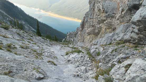 Further up the gully, looking down