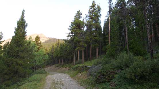 Hiking up the Sheep River Trail in the morning