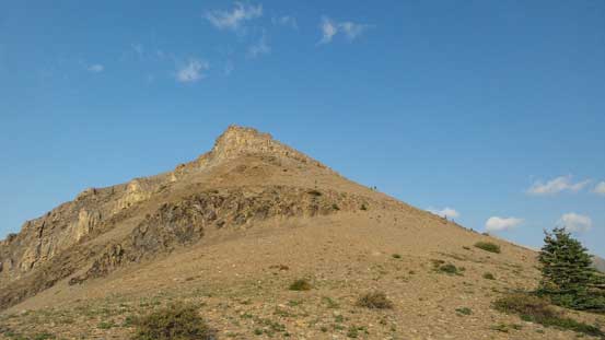 Arrived at treeline, looking up