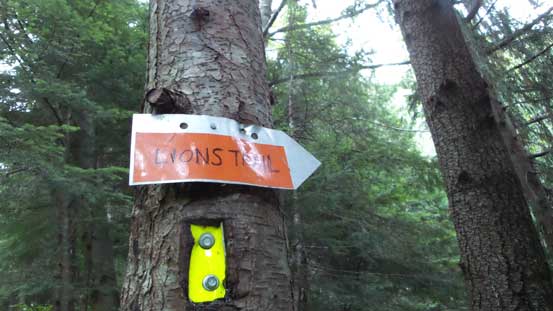 The Lions Trail is hard to miss