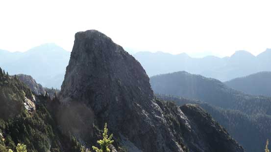 Another look at East Lion