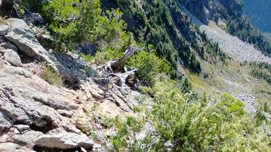 The typical terrain on W. Lion