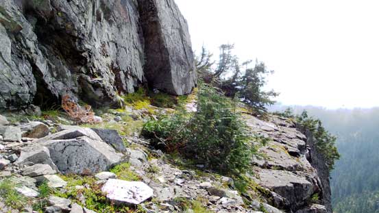 Looking back at the wide ledge