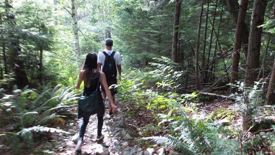 Hikers descending Lions Trail