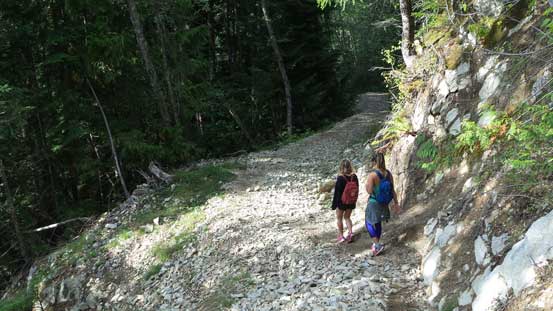 The trail joins the old logging road lower down
