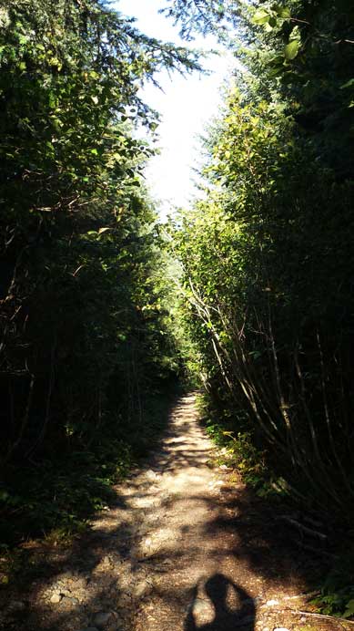 Hiking up Sky Pilot Valley trail